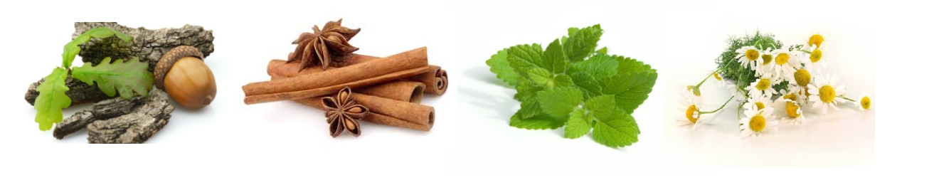 Obrázek DELTA MEDICAL H4 Repar.It roztok 50 ml