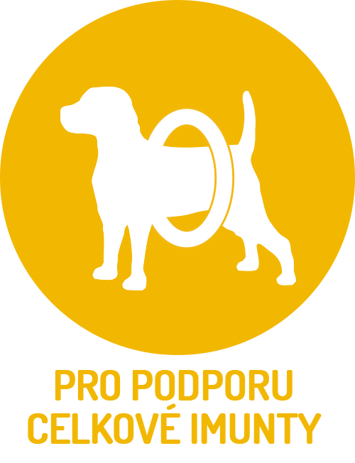 Obr&aacute;zek BRIT Care Grain-free Junior Large Breed Salmon & Potato granule pro psy 3 kg