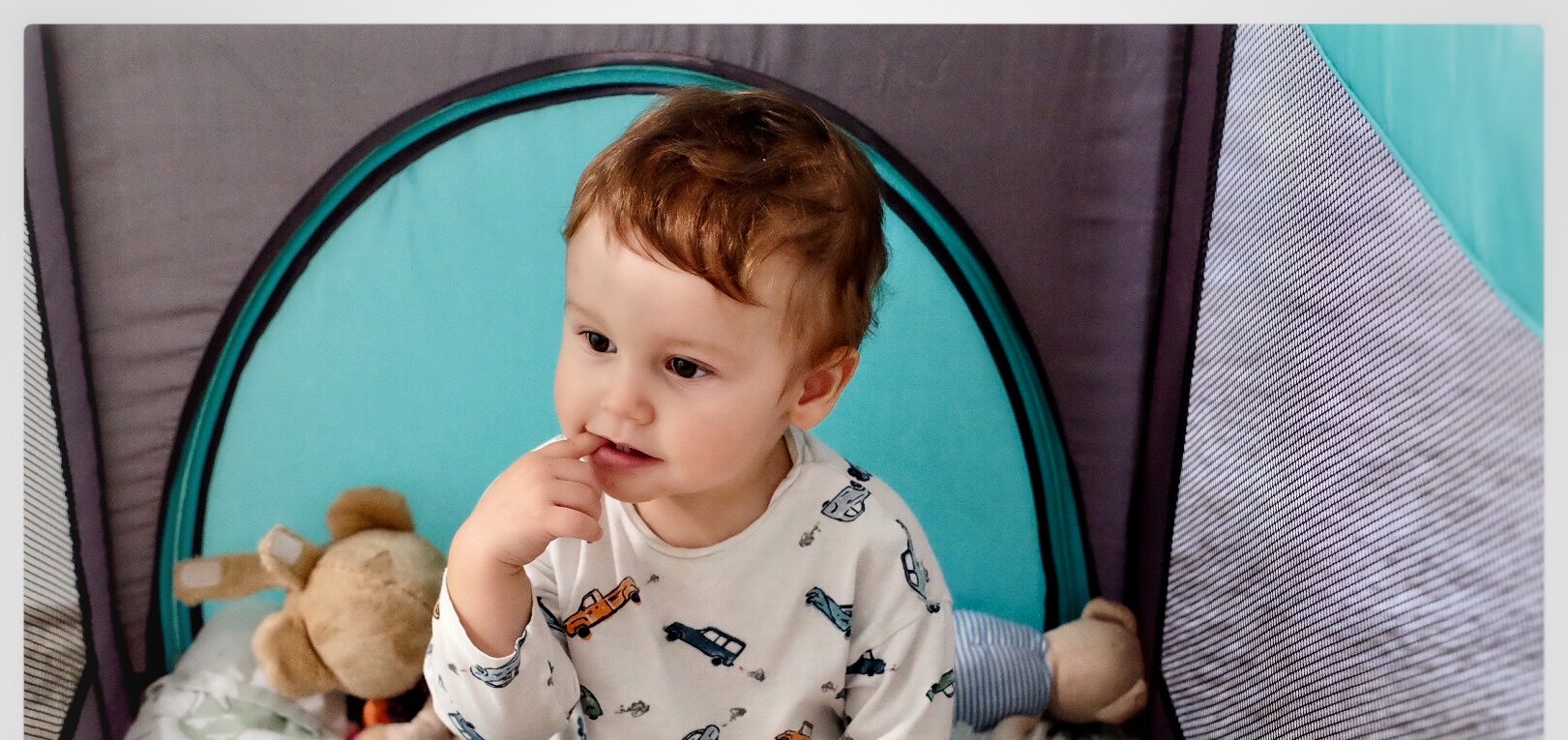 Obr&aacute;zek PETITE&MARS Post&yacute;lka cestovn&iacute; Koot Lion Grey 120&times;60 cm (2)