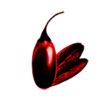 Obrázek CEMIO RED3 Prostata, vitalita, potence 30 kapslí (4)