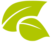 Obrázek STREPHERBAL Propolis a rakytník 24 pastilek (3)