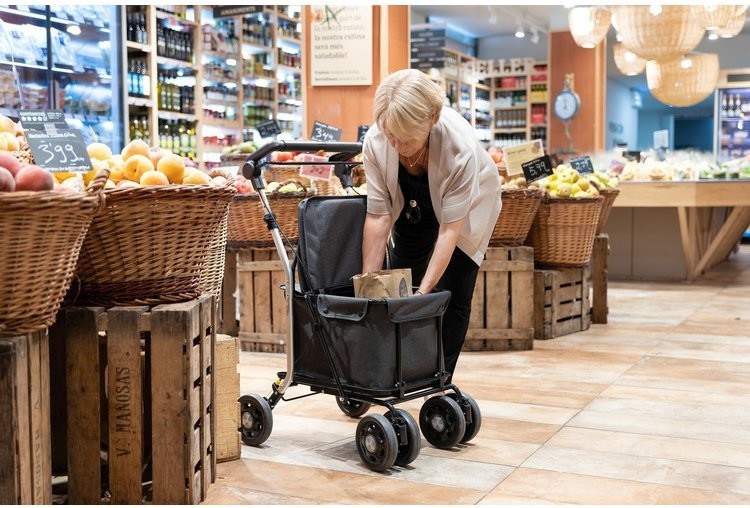 Obr&aacute;zek CARLETT Senior comfort pro n&aacute;kupn&iacute; ta&scaron;ka na kolečk&aacute;ch tmavě &scaron;ed&aacute; 36l