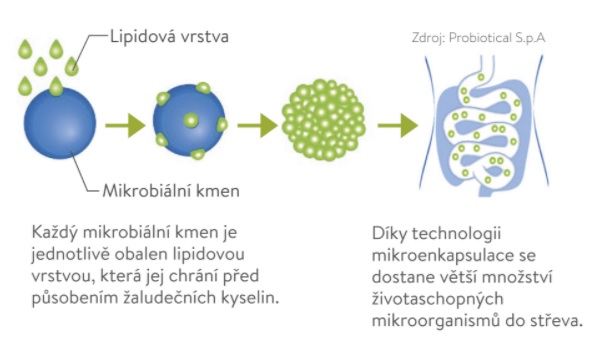 Obr&aacute;zek OSMOBIOTIC FLORA Baby kapky 5 ml