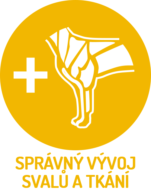 Obr&aacute;zek BRIT Care Show Champion granule pro psy 3 kg (3)