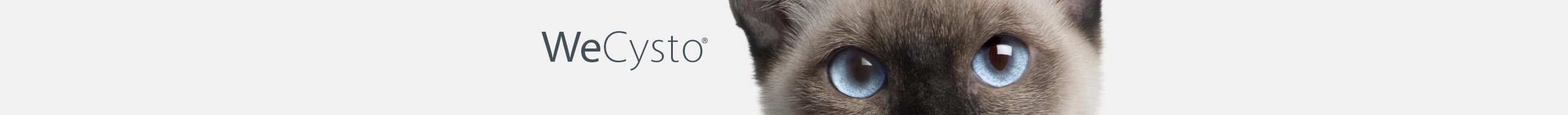 Obr&aacute;zek WEPHARM WeCysto pro kočky 100 ml