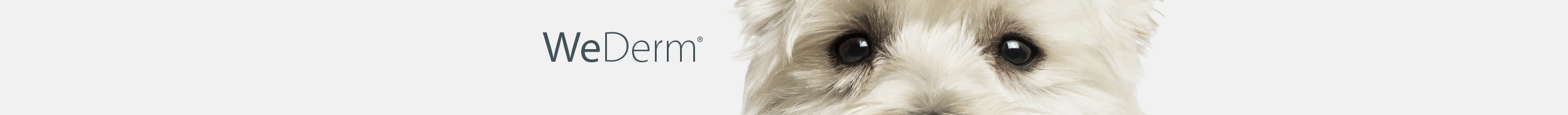 Obrázek WEPHARM WeDerm pro psy a kočky 60 kapslí