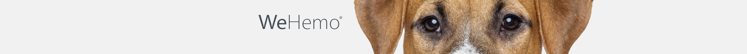 Obrázek WEPHARM WeHemo pro psy a kočky 30 ml