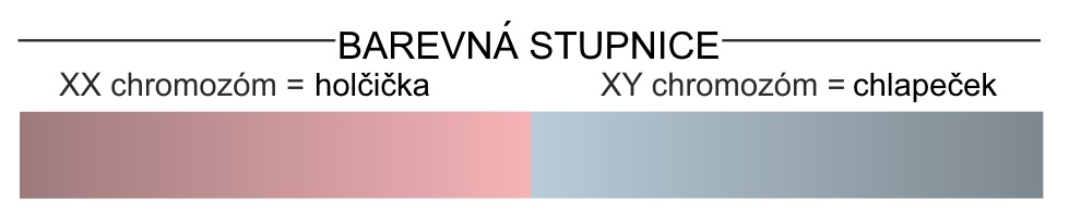 Obr&aacute;zek IMPERIAL VITAMINS Woman secret Girl or Boy test na určen&iacute; pohlav&iacute; d&iacute;těte