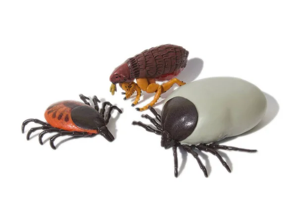 Obrázek FIPRON Antiparazitní sprej 100 ml