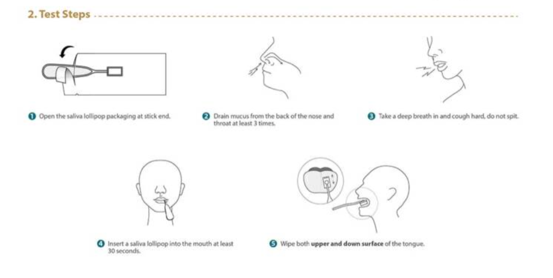 Obr&aacute;zek FLOWFLEX-CoV-2 Antigen saliva rapid test lollipop l&iacute;zac&iacute; test 1ks (2)