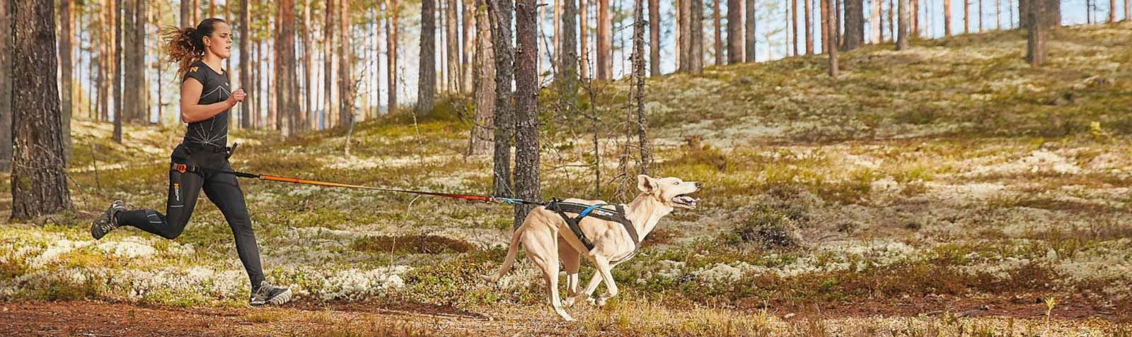 Obr&aacute;zek NON-STOP Dogwear CaniX belt canicross opasek pro běh se psem 1 ks