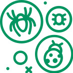 Obrázek ARPALIT NEO šampon obohacený antiparazitární složkou a bambusovým extraktem 50 ml