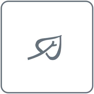 Obr&aacute;zek NOBILIS TILIA Ka&scaron;tanov&yacute; gel 100 ml (2)