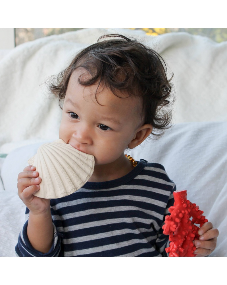 Obrázek LANCO Kousátko mušlička