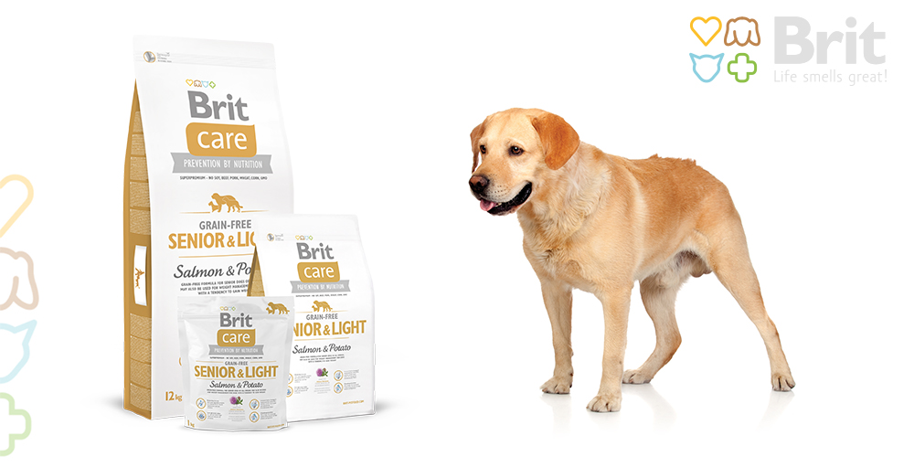 Obr&aacute;zek BRIT Care Grain-free Senior & Light Salmon & Potato granule pro psy 1 kg (5)