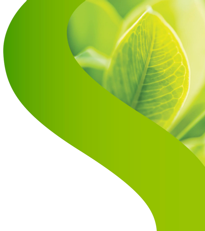 Obrázek STREPHERBAL Propolis a rakytník 24 pastilek (11)