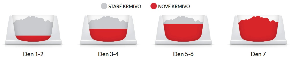 Obr&aacute;zek HILL'S Science Plan Feline kapsičky multipack pro koťata 12 x 85 g