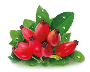 Obr&aacute;zek GS Vitamin C 500 se &scaron;&iacute;pky 100+20 tablet ZDARMA