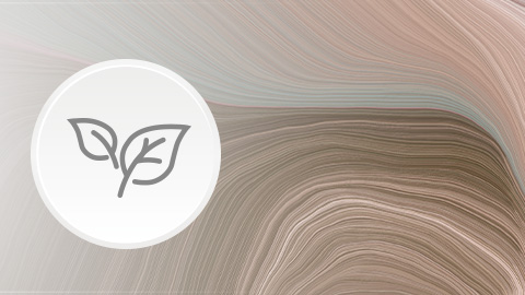 Obr&aacute;zek LOVI tal&iacute;řky Tamarillo 2 ks