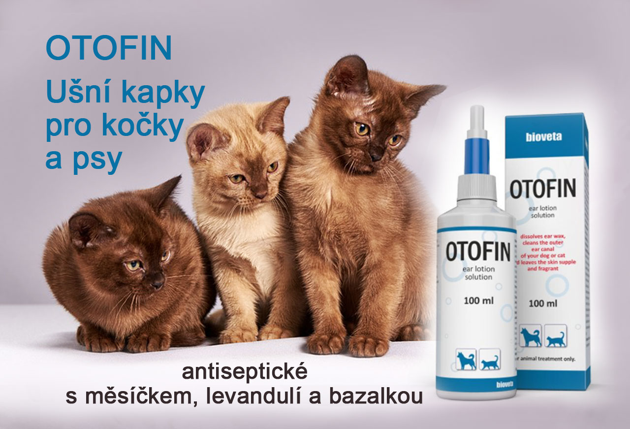 Obr&aacute;zek OTOFIN u&scaron;n&iacute; roztok 100 ml
