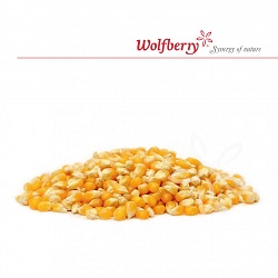 Obrázek WOLFBERRY Kukuřice na popcorn BIO 1000 g