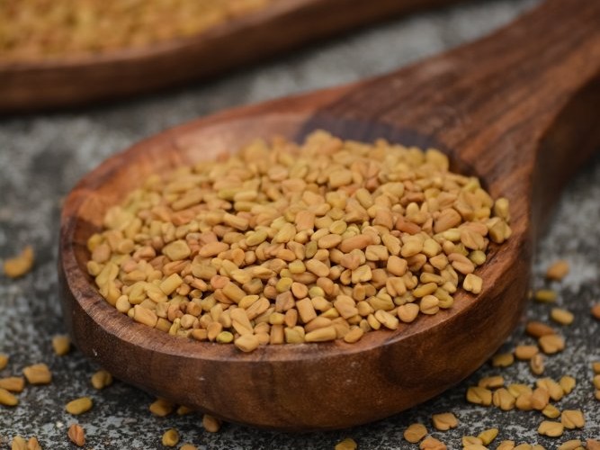 Obrázek GREENFOOD NUTRITION Probiotics lactowise 60 kapslí