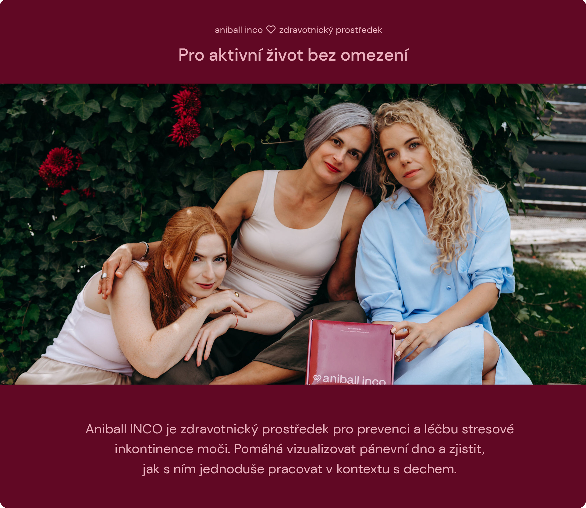 Obrázek ANIBALL INCO pro prevenci inkontinence
