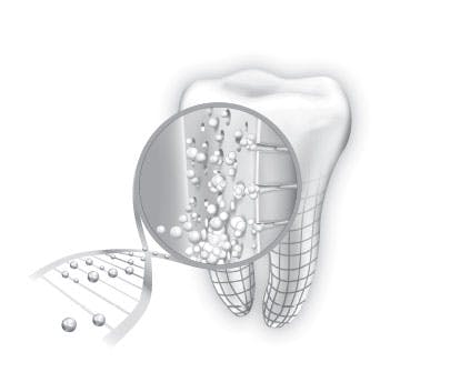 Obrázek SENSODYNE Repair & Protect Zubní pasta s fluoridem 75 ml