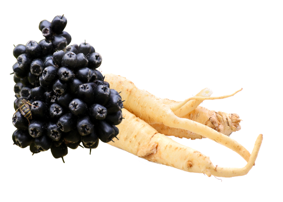 Obr&aacute;zek GLENMARK Eskeri podporuj&iacute;c&iacute; imunitu 30 kapsl&iacute; (4)