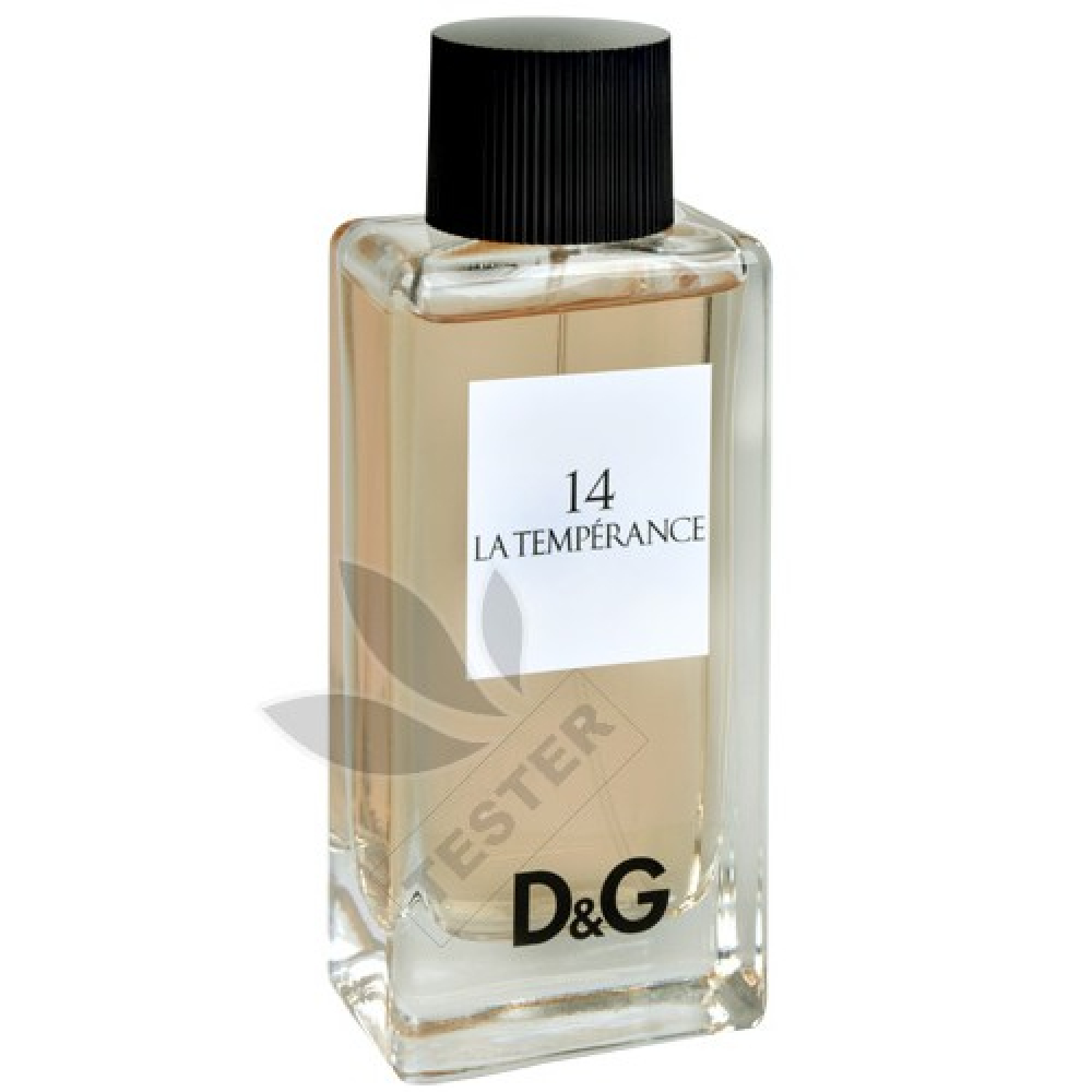 dolce gabbana la temperance 14